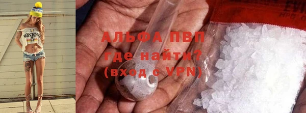 PSILOCYBIN Вязьма