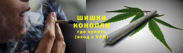 PSILOCYBIN Вязьма