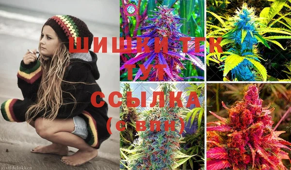 PSILOCYBIN Вязьма