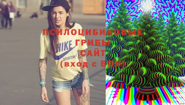 метадон Вяземский