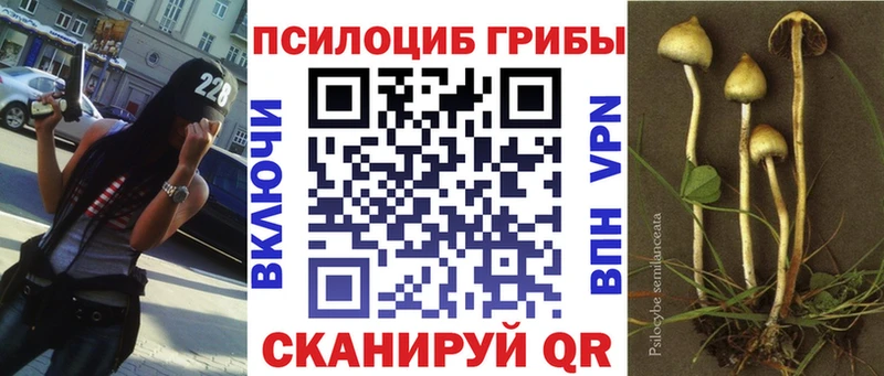 Псилоцибиновые грибы GOLDEN TEACHER  Елец 