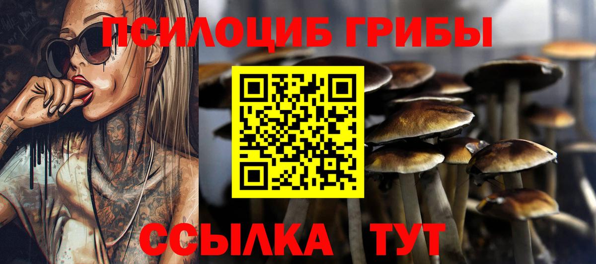 Галлюциногенные грибы MAGIC MUSHROOMS Елец