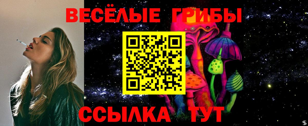 Елец  Галлюциногенные грибы MAGIC MUSHROOMS  Вход с VPN 